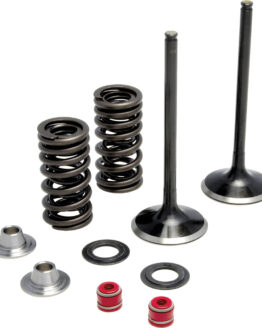 Intake Valve/Spring Kit Stainless Steel