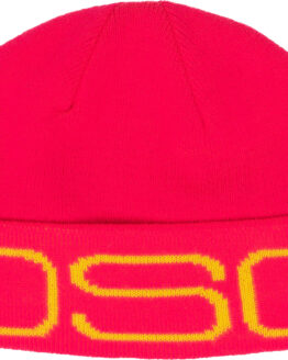 DSG Logo Beanie Hot Pink Womens