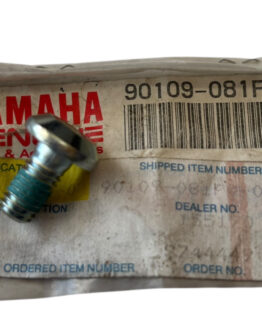 Yamaha Hex Socket Button Bolt 90109-081F0-00