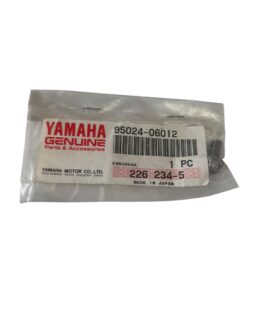 Yamaha Flange Bolt 95024-06012-00 Superseded to 98707-06012-00