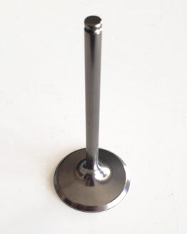Titanium Intake Valve